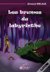 Capa do artigo Les Brumes Du Labyrinthe