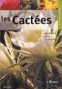 Les Cactees - Preview