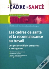 Les Cadres De Sante Et La Reconnaissance Du Travail