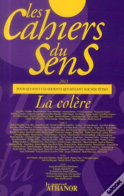 Capa do artigo Les Cahiers Du Sens N 23/2013 La Colere
