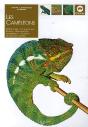 Les Caméléons - Preview