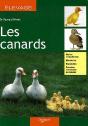 Les Canards - Preview