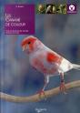 Les Canaris De Couleurs - Preview
