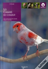 Les Canaris De Couleurs