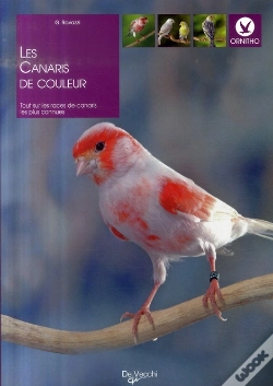 Capa do artigo Les Canaris De Couleurs