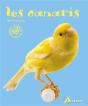 Les Canaris - Preview