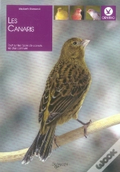 Les Canaris ; Tout Sur Les 36 Races Les Plus Connues
