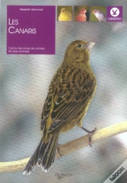 Capa do artigo Les Canaris ; Tout Sur Les 36 Races Les Plus Connues