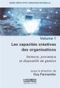 Les Capacités Créatives Des Organisations : Facteurs, Processus Et Dispositifs De Gestion - Preview