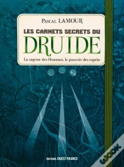 Capa do artigo Les Carnets Secrets Du Druide