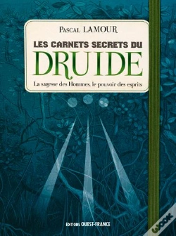 Capa do artigo Les Carnets Secrets Du Druide