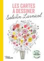 Les Cartes À Dessiner De Solenn Larnicol - Preview