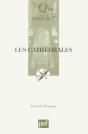 Les Cathédrales - Preview