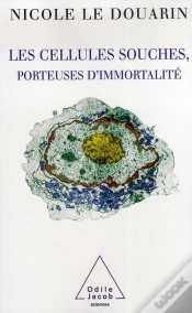 Capa do artigo Les Cellules Souches, Porteuses D Immortalité