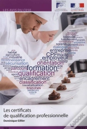 Capa do artigo Les Certificats De Qualification Professionnelle