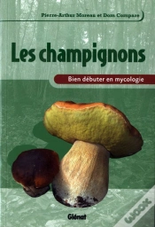 Capa do artigo Les Champignons ; Bien Débuter En Mycologie