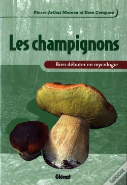 Capa do artigo Les Champignons ; Bien Débuter En Mycologie