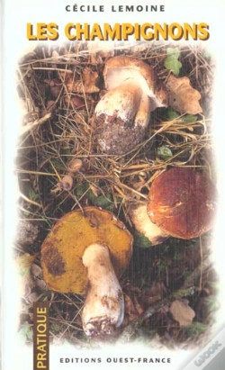 Capa do artigo Les Champignons