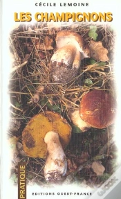 Capa do artigo Les Champignons