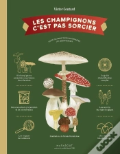 Capa do artigo Les Champignons C