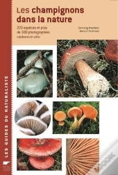 Les Champignons Dans La Nature