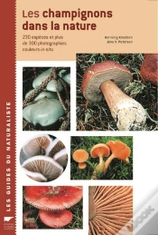 Capa do artigo Les Champignons Dans La Nature