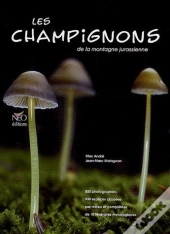 Les Champignons De La Montagne Jurassienne