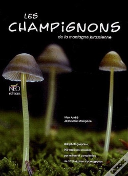 Capa do artigo Les Champignons De La Montagne Jurassienne