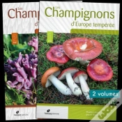 Capa do artigo Les Champignons D