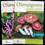 Les Champignons D'Europe Tempérée (2e Édition) - Preview