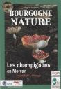 Les Champignons Du Morvan - Preview