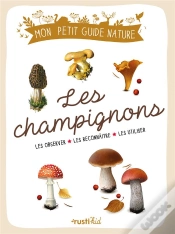 Capa do artigo Les Champignons : Les Observer, Les Reconnaître, Les Utiliser