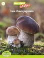 Les Champignons - Preview