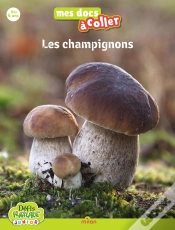 Capa do artigo Les Champignons