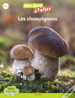 Capa do artigo Les Champignons