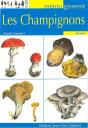 Les Champignons - Preview