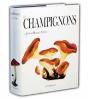 Les Champignons - Preview