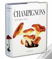 Capa do artigo Les Champignons