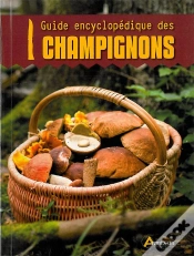 Capa do artigo Les Champignons
