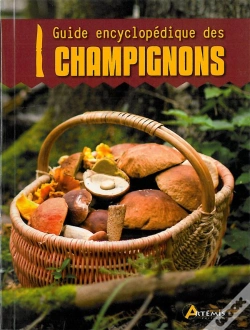 Capa do artigo Les Champignons