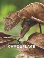 Les Champions Du Camouflage - Preview