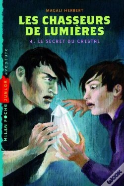 Capa do artigo Les Chasseurs De Lumieres T.4-