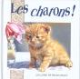 Les Chatons - Preview