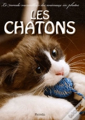 Capa do artigo Les Chatons