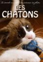 Les Chatons - Preview