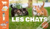 Les Chats De A A Z