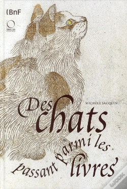 Capa do artigo Les Chats De La Bnf