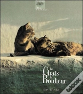 Les Chats Du Bonheur