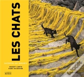 Les Chats Racontés Aux Enfants
