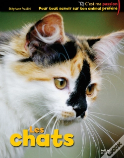 Capa do artigo Les Chats